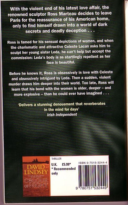 David Lindsey  ANIMOSITY magnified rear book cover image