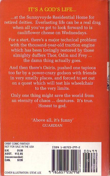 Tom Holt  ODDS AND GODS magnified rear book cover image