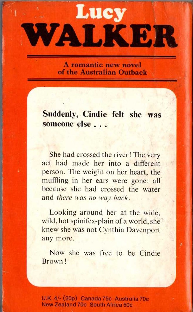 Lucy Walker  THE RIVER IS DOWN magnified rear book cover image