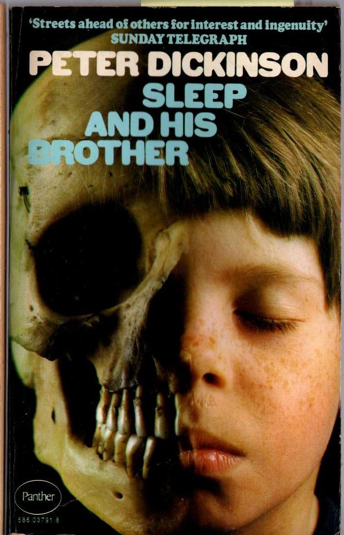 Peter Dickinson  SLEEP AND HIS BROTHER front book cover image