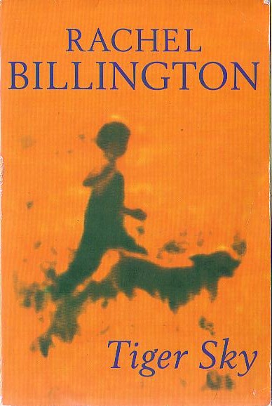Rachel Billington  TIGER SKY front book cover image