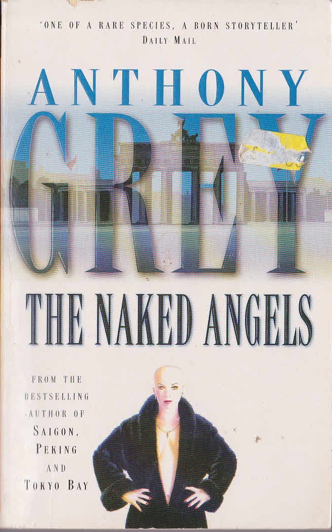 Anthony Grey  THE NAKED ANGELS front book cover image