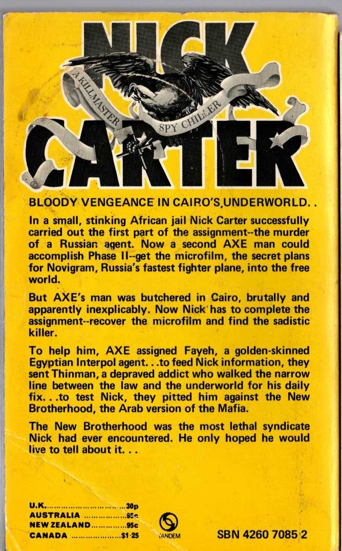 Nick Carter  CAIRO magnified rear book cover image