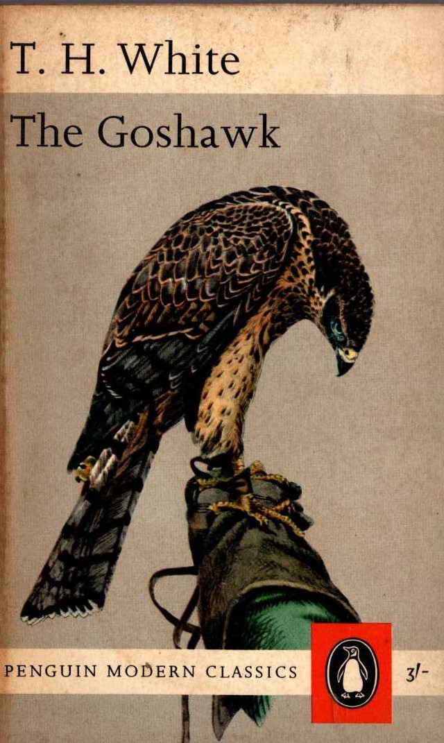 T.H. White  THE GOSHAWK front book cover image