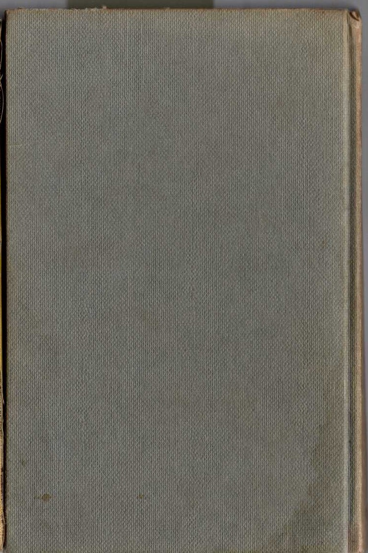 BIG CHIEF BUNTER magnified rear book cover image