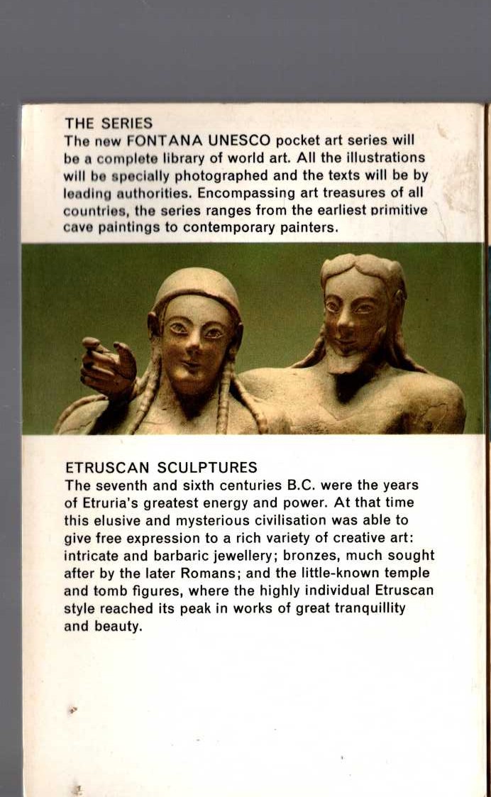  magnified rear book cover image