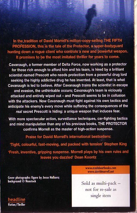 David Morrell  THE PROTECTOR magnified rear book cover image