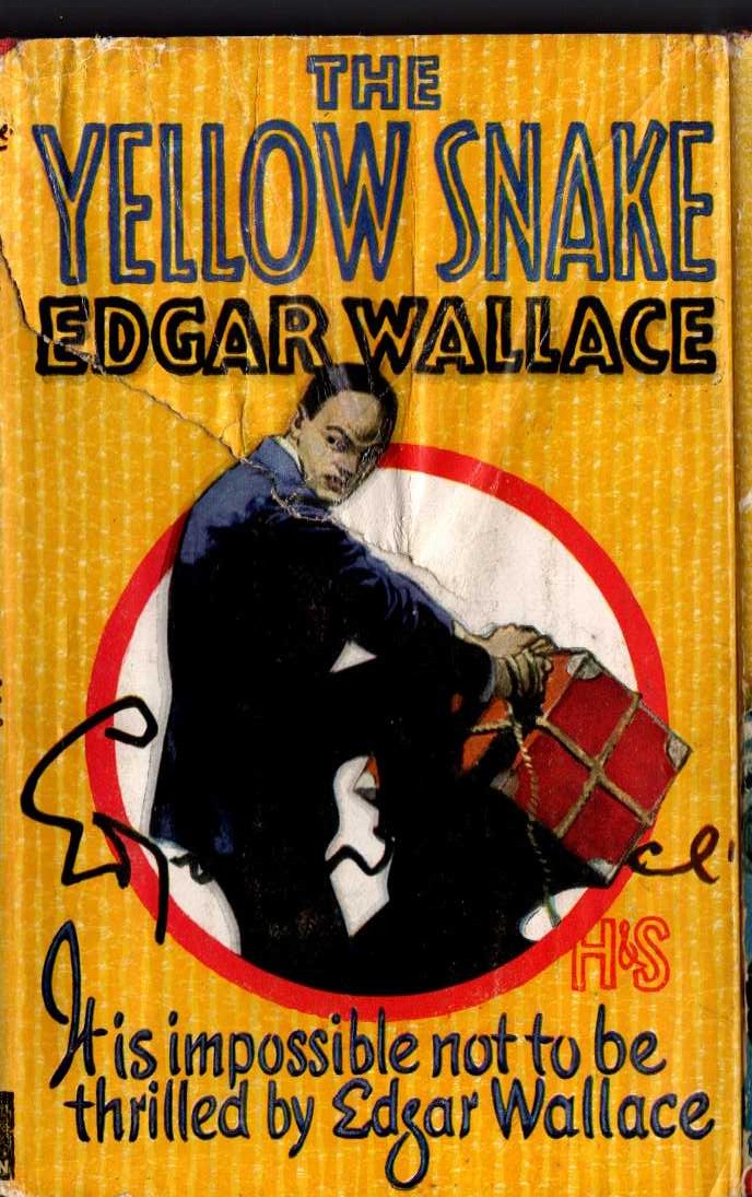 THE YELLOW SNAKE front book cover image
