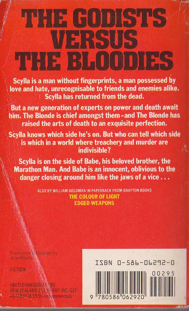 William Goldman  BROTHERS magnified rear book cover image