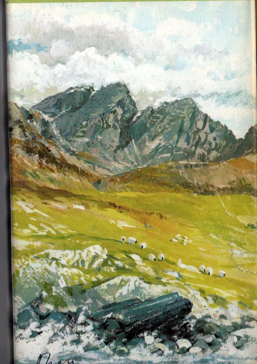 THE LOUD HALO magnified rear book cover image