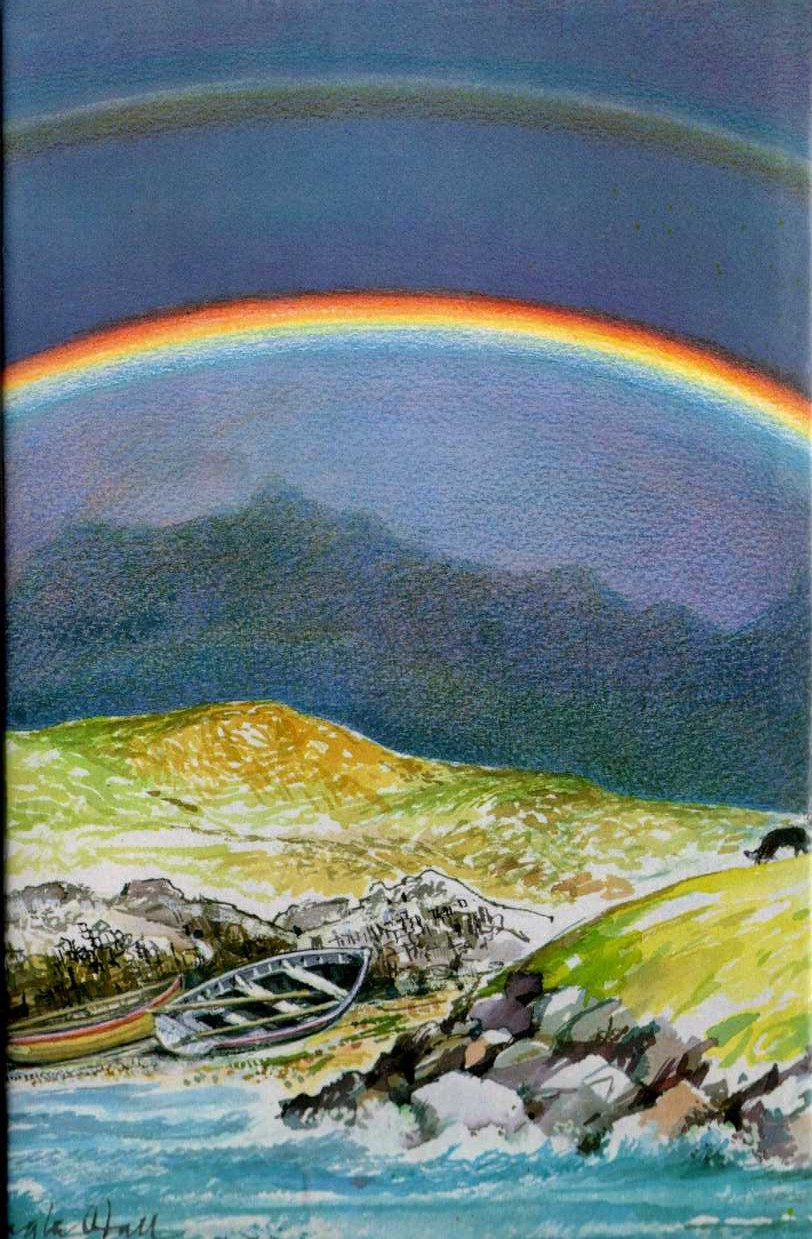 A SHINE OF RAINBOWS magnified rear book cover image