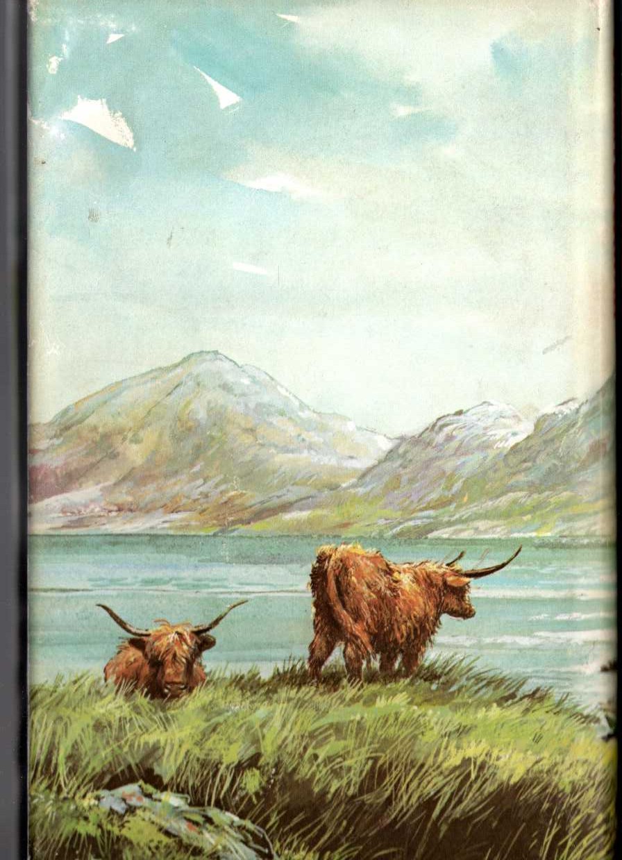BEAUTIFUL JUST! magnified rear book cover image