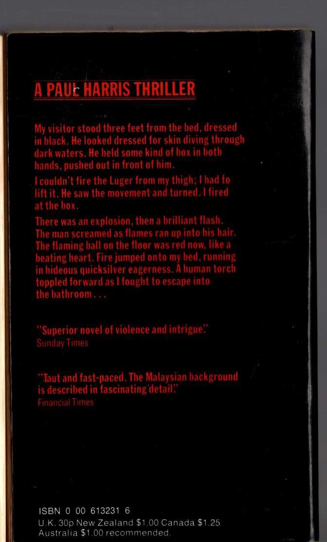 Gavin Black  A TIME FOR PIRATES magnified rear book cover image