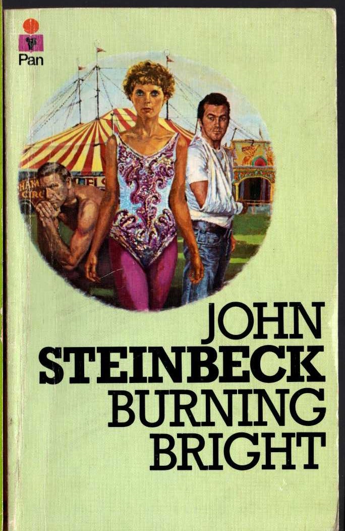 John Steinbeck  BURNING BRIGHT front book cover image