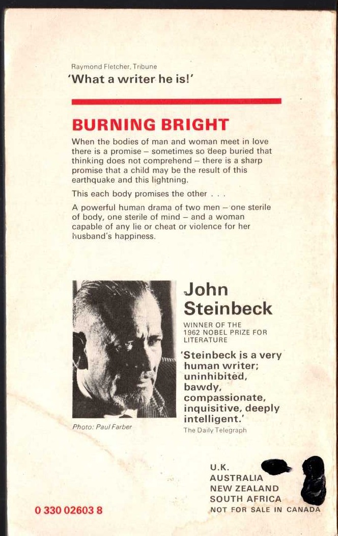 John Steinbeck  BURNING BRIGHT magnified rear book cover image