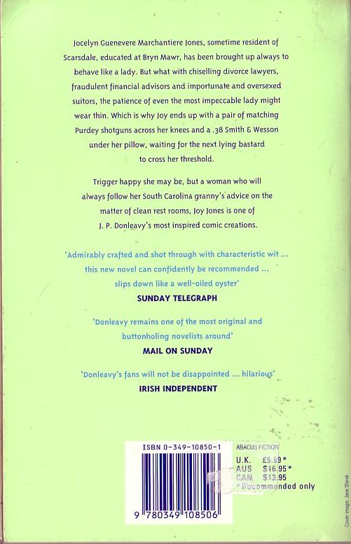 J.P. Donleavy  THE LADY WHO LIKED CLEAN REST ROOMS magnified rear book cover image