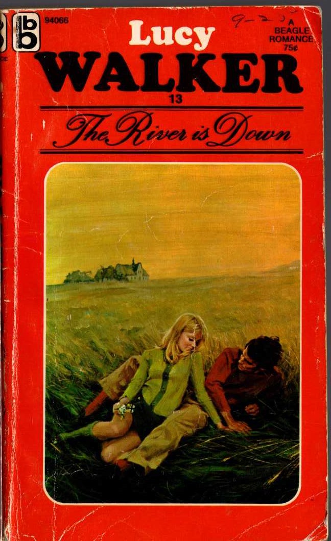 Lucy Walker  THE RIVER IS DOWN front book cover image