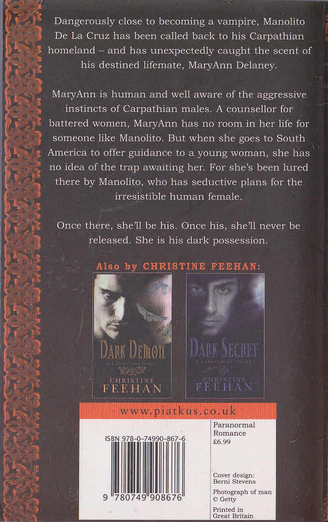 Christine Feehan  DARK POSSESSION magnified rear book cover image