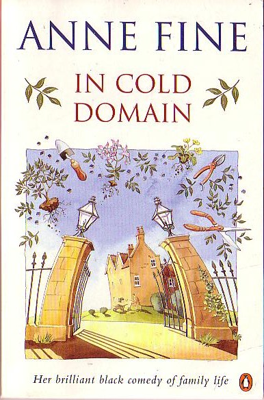 Anne Fine  IN COLD DOMAIN front book cover image