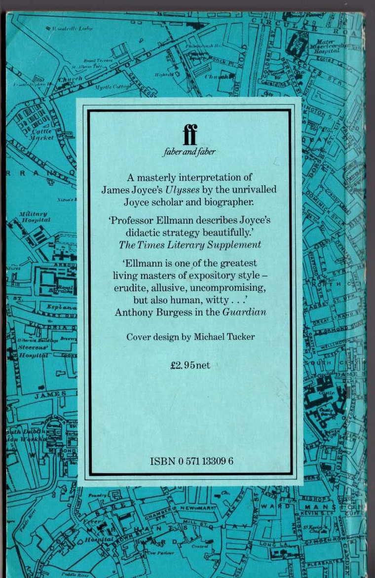 James Joyce  ULYSSES ON THE LIFFEY magnified rear book cover image