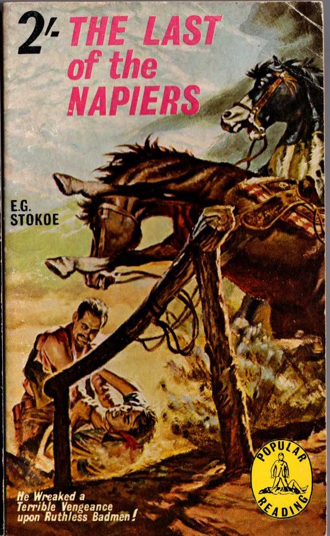 E.G. Stokoe  THE LAST OF THE NAPIERS front book cover image