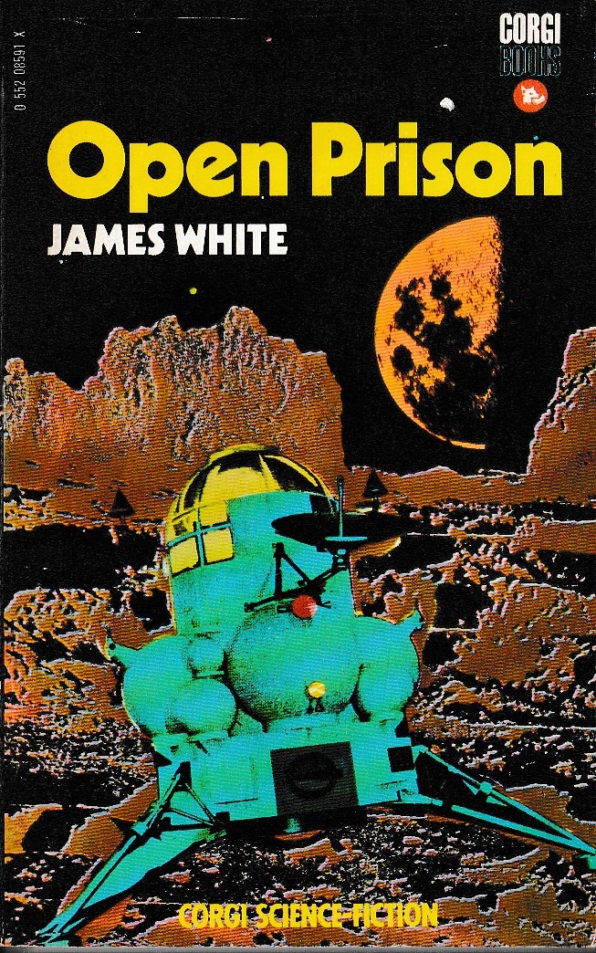 James White  OPEN PRISON front book cover image