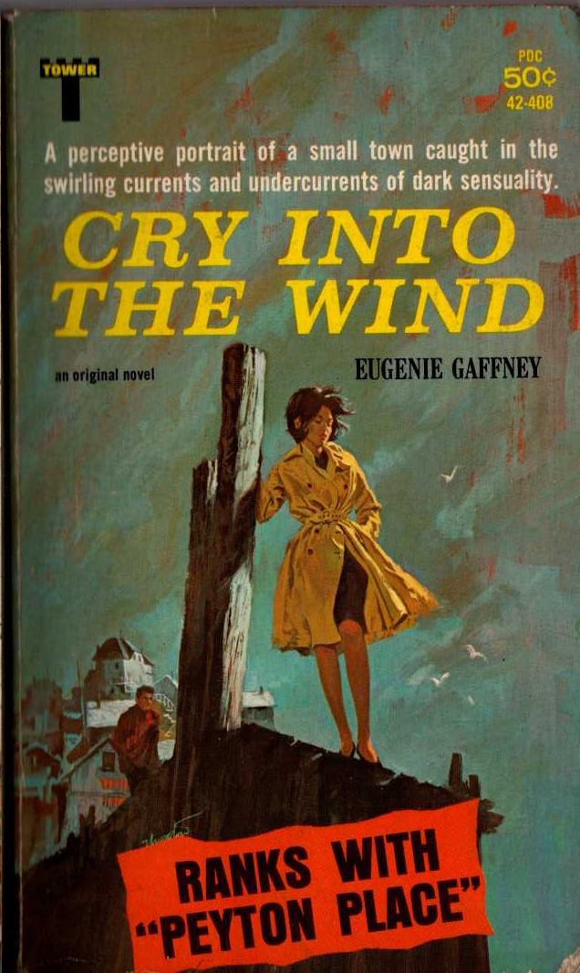 Eugenie Gaffney  CRY INTO THE WIND front book cover image