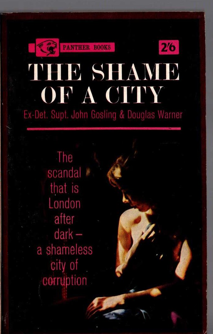 THE SHAME OF A CITY front book cover image