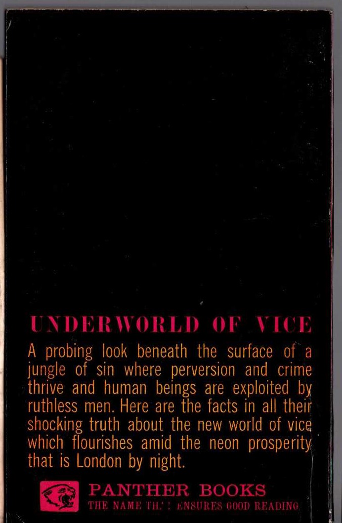 THE SHAME OF A CITY magnified rear book cover image