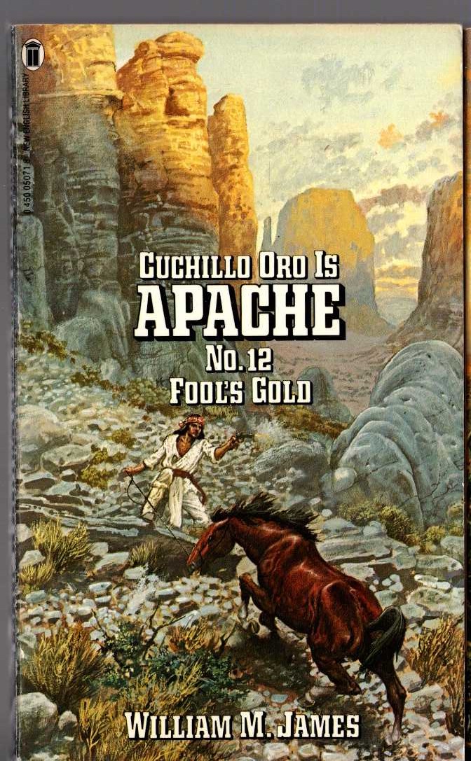 William M. James  APACHE 12: FOOL'S GOLD front book cover image
