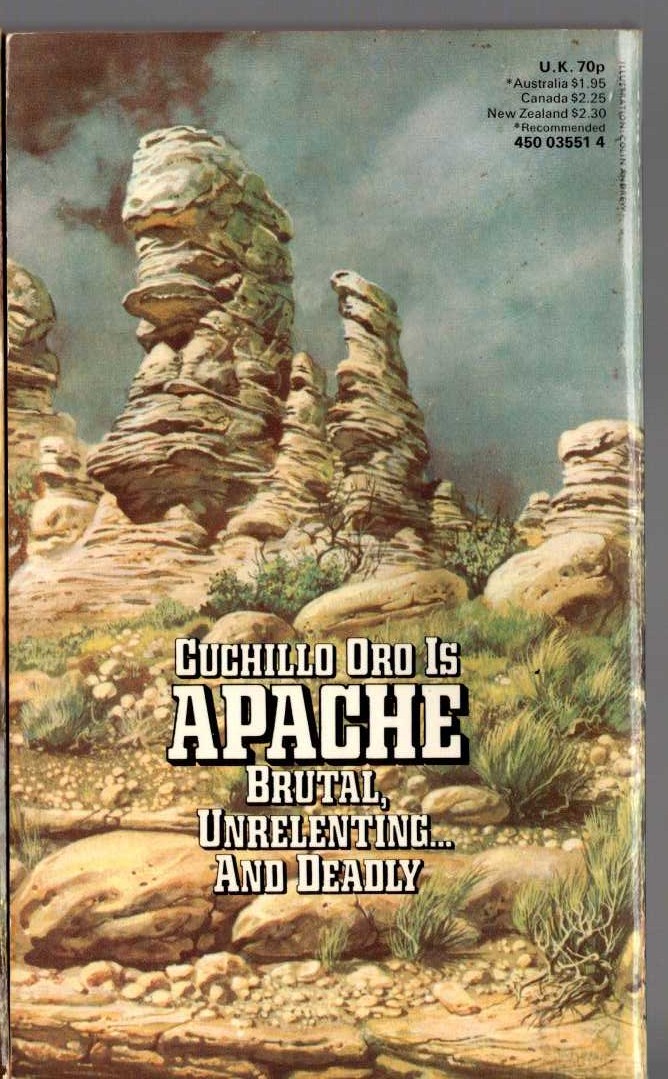 William M. James  APACHE 1: THE FIRST DEATH magnified rear book cover image