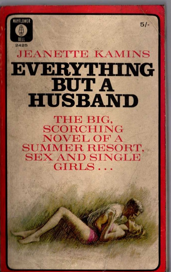 Jeanette Kamins  EVERYTHING BUT A HUSBAND front book cover image