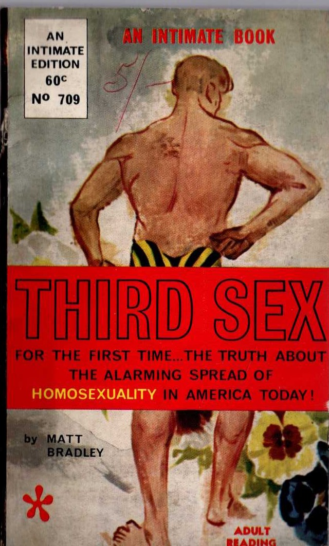 Matt Bradley  THIRD SEX front book cover image