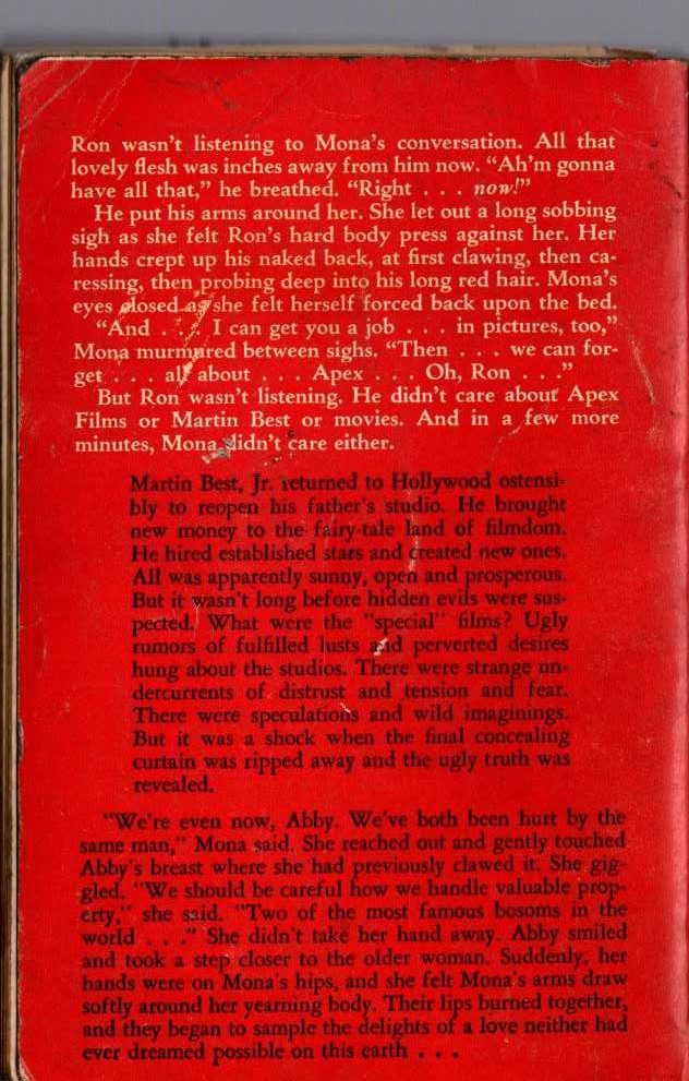 Brian Dunn  THE CENSORED SCREEN magnified rear book cover image