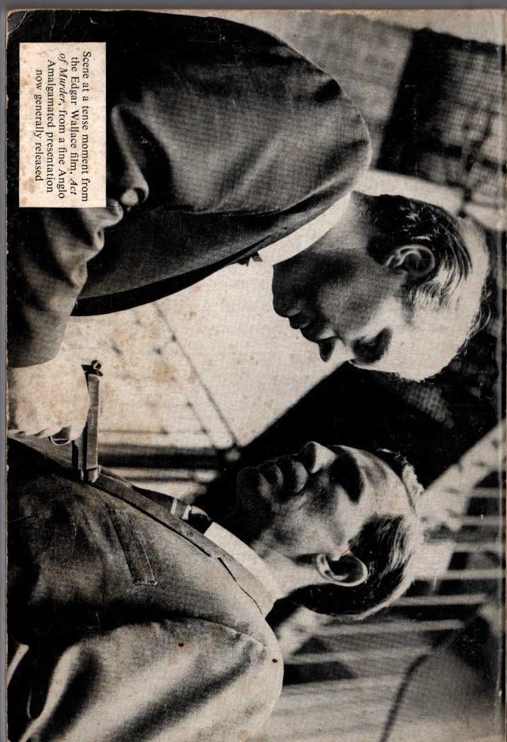 Vladimir Nabokov  BEND SINISTER magnified rear book cover image