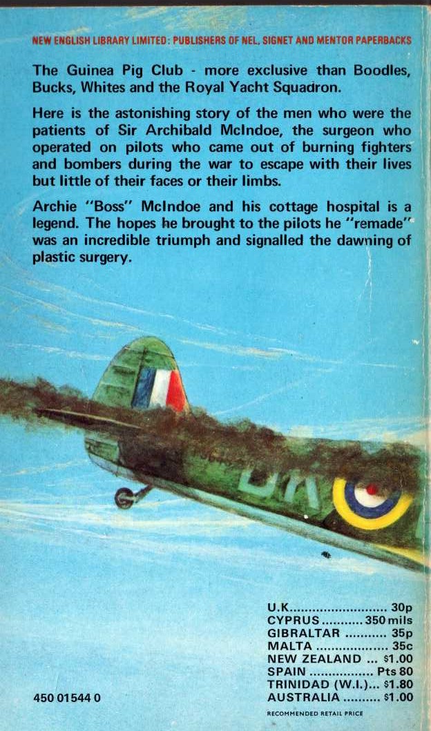 Edward Bishop  THE GUINEA PIG CLUB magnified rear book cover image