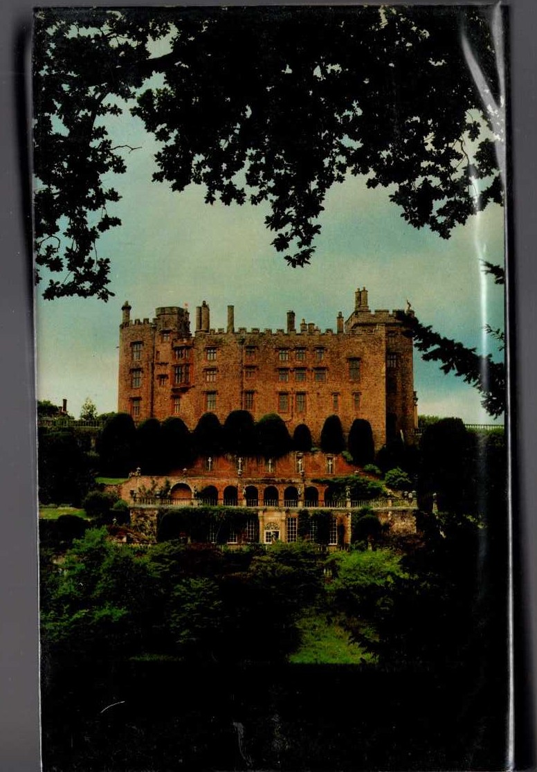 POWYS (Buildings of Wales) magnified rear book cover image