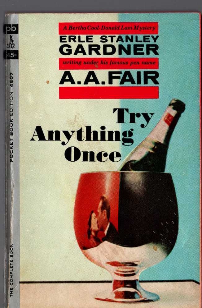 A.A. Fair  TRY ANYTHING ONCE front book cover image