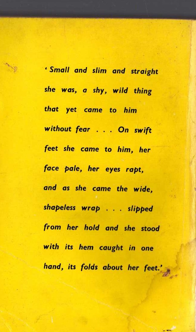 Netta Muskett  ALLEY CAT magnified rear book cover image
