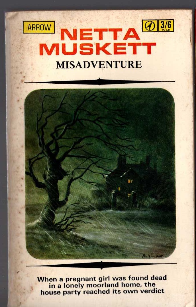 Netta Muskett  MISADVENTURE front book cover image
