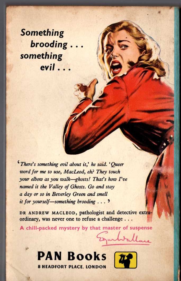 Edgar Wallace  THE VALLEY OF GHOSTS magnified rear book cover image