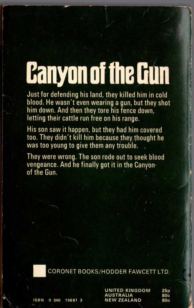 T.V. Olsen  CANYON OF THE GUN magnified rear book cover image