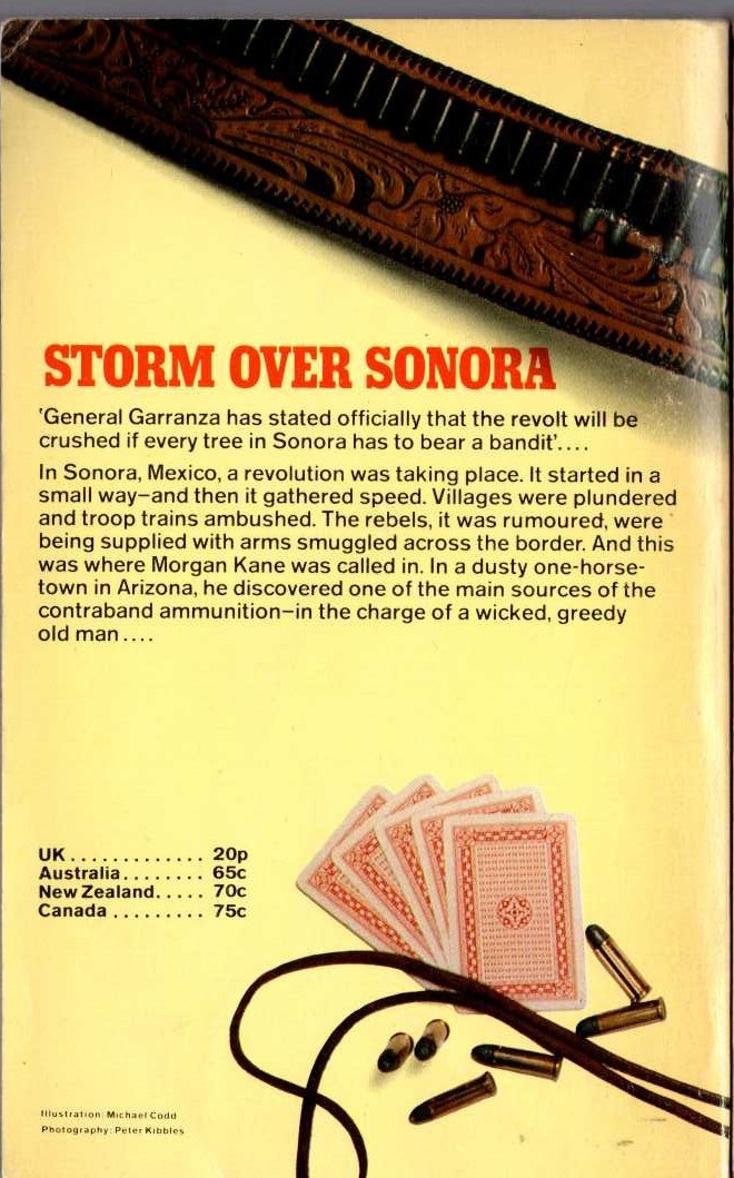 Louis Masterson  STORM OVER SONORA magnified rear book cover image