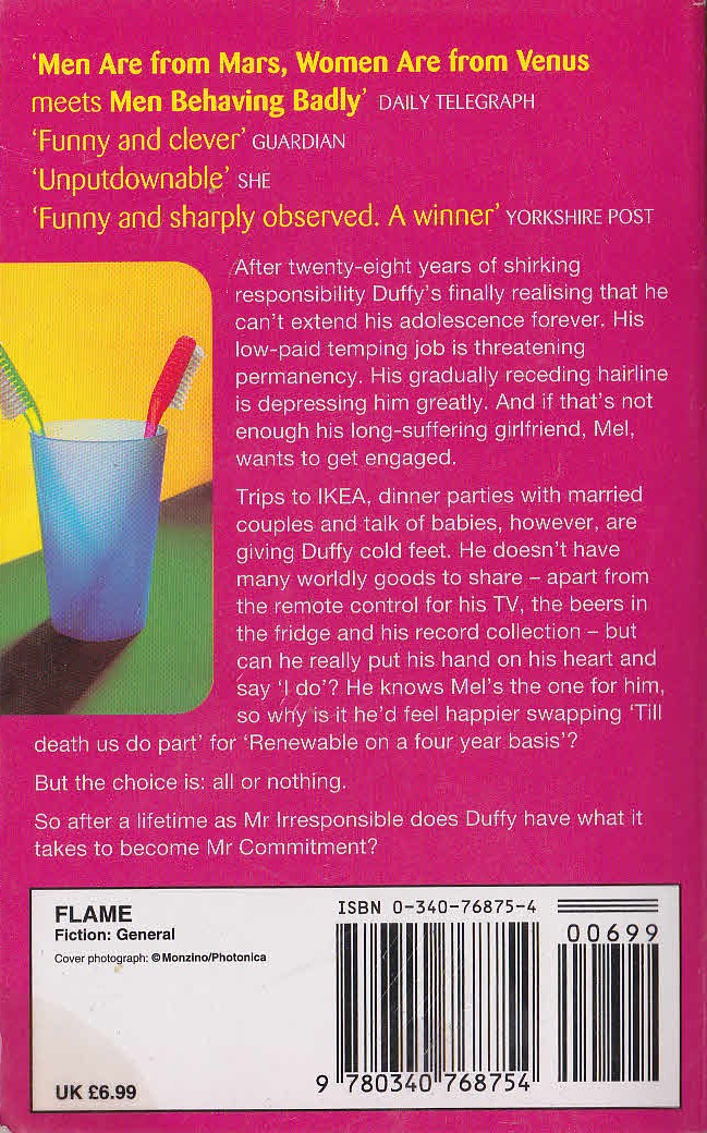 Mike Gayle  MR COMMITMENT magnified rear book cover image