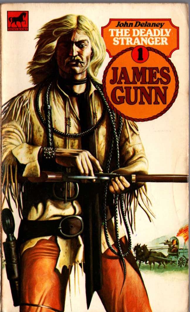 John Delaney  JAMES GUNN 1: THE DEADLY STRANGER front book cover image