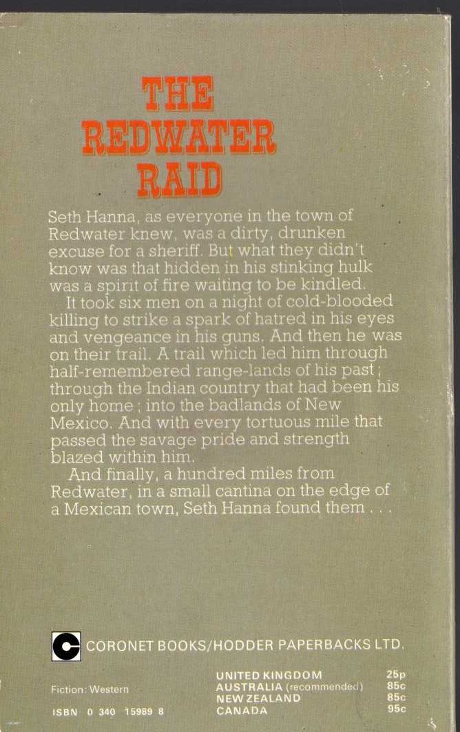 Nathan Lestrange  THE REDWATER RAID magnified rear book cover image