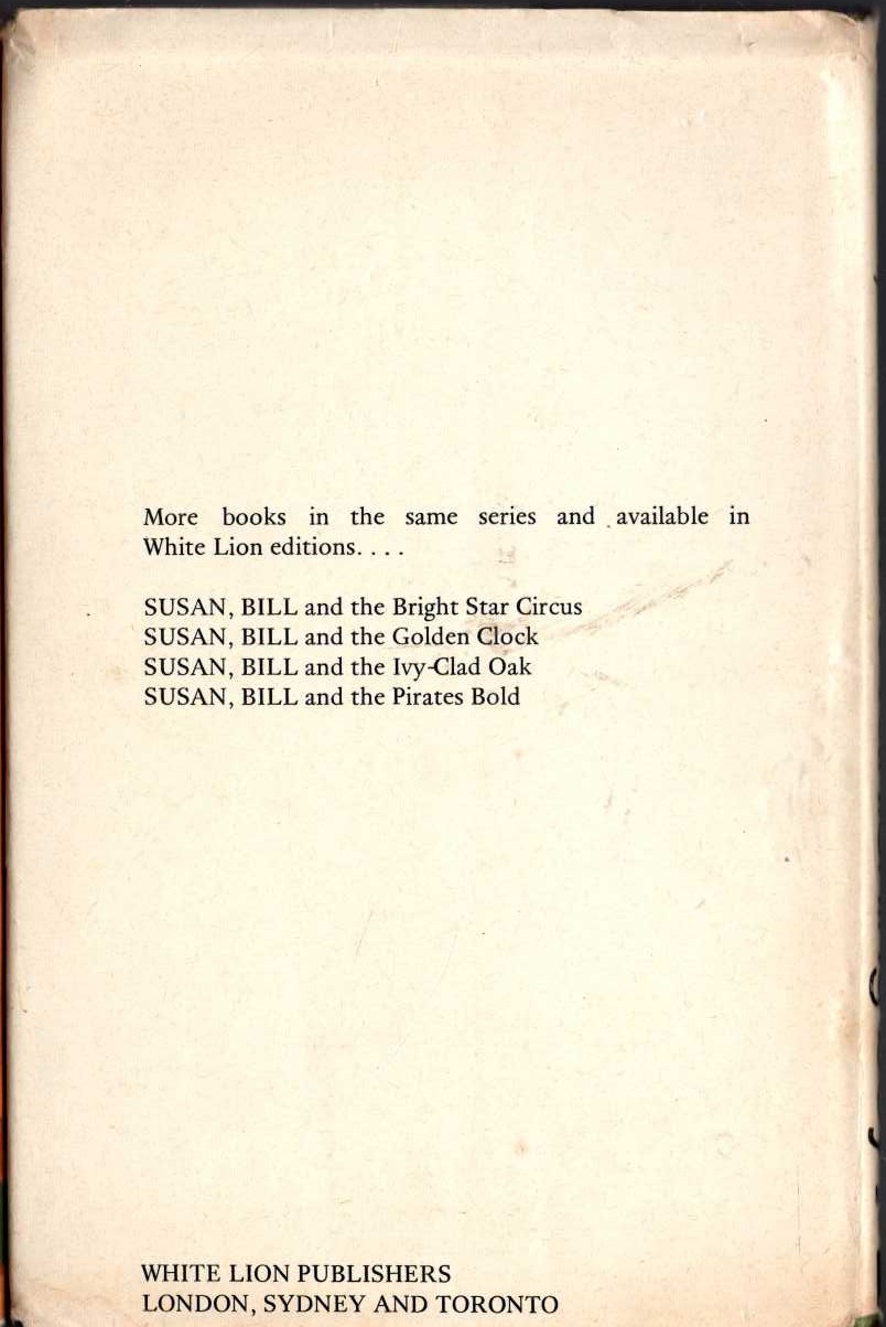 SUSAN, BILL AND THE VANISHING BOY magnified rear book cover image