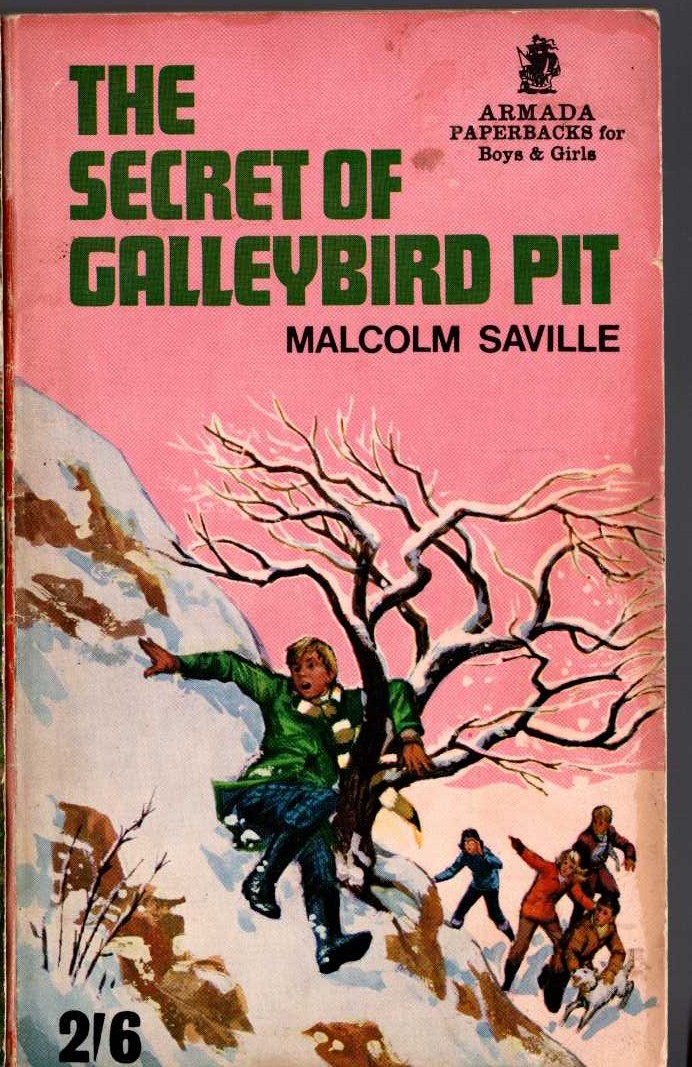 Malcolm Saville  THE SECRET OF GALLEYBIRD PIT front book cover image