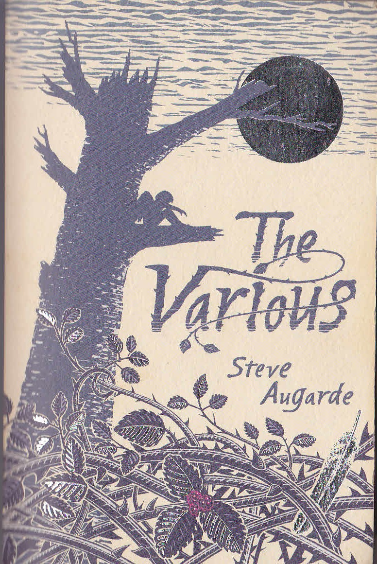 Steve Augarde  THE VARIOUS front book cover image