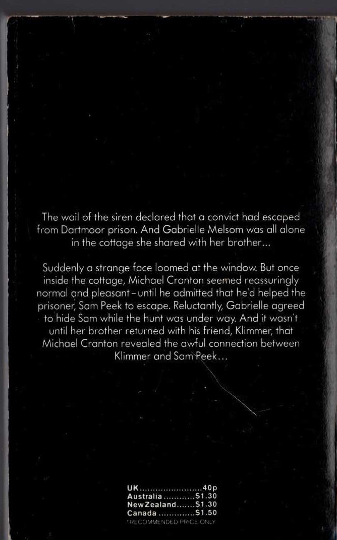Michael Halliday  TWO MEET TROUBLE magnified rear book cover image